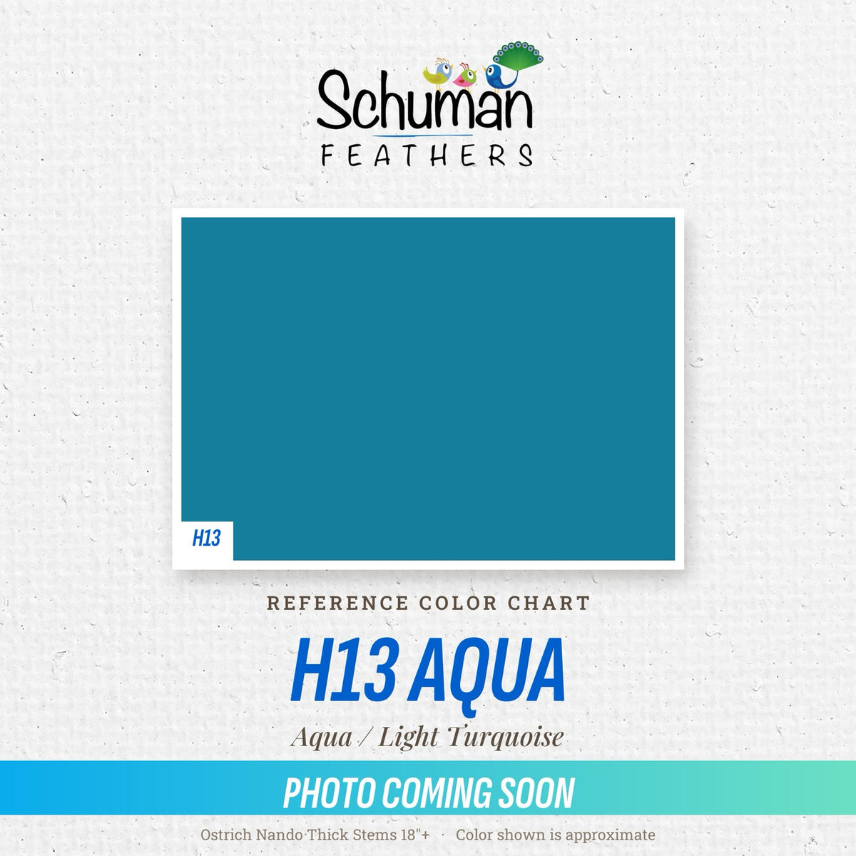 Ostrich Nando Thick Stems 18"+ H13 Aqua - reference color chart, photo coming soon