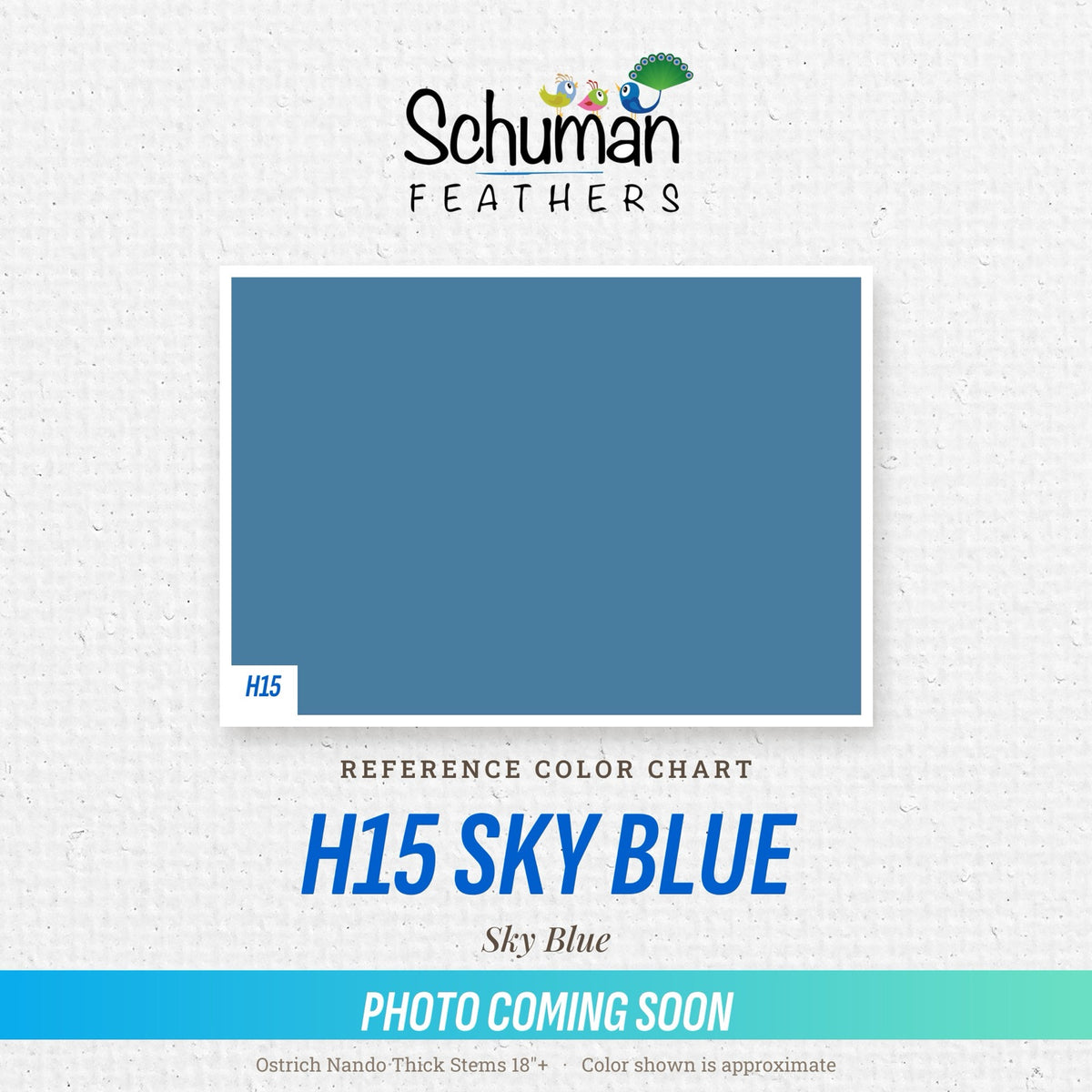 Ostrich Nando Thick Stems 18"+ H15 Sky Blue - reference color chart, photo coming soon