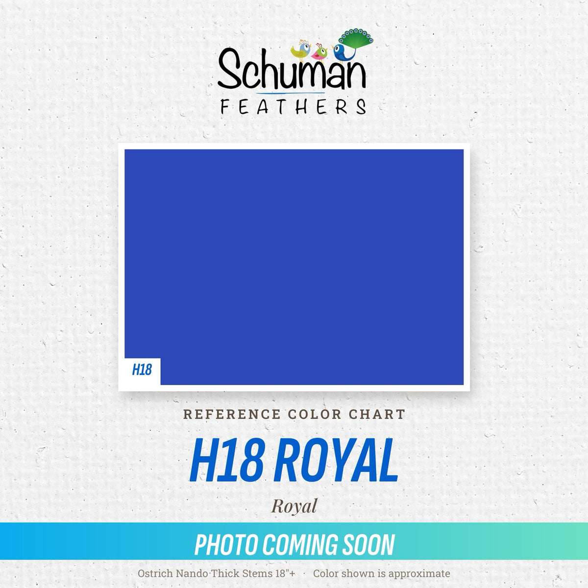 Ostrich Nando Thick Stems 18"+ H18 Royal - reference color chart, photo coming soon