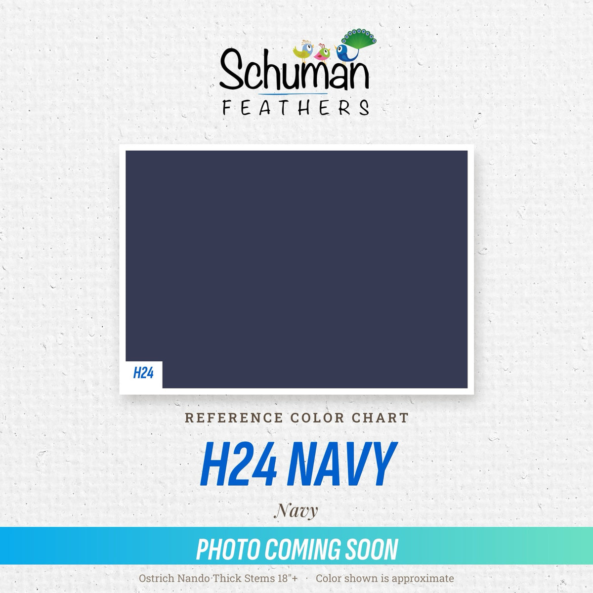 Ostrich Nando Thick Stems 18"+ H24 Navy - reference color chart, photo coming soon