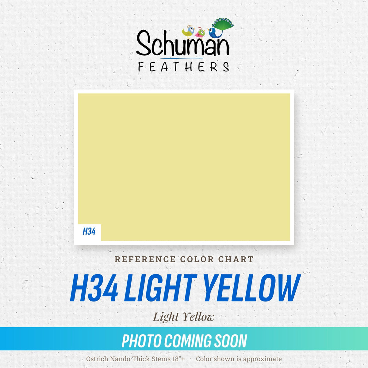 Ostrich Nando Thick Stems 18"+ H34 Light Yellow - reference color chart, photo coming soon