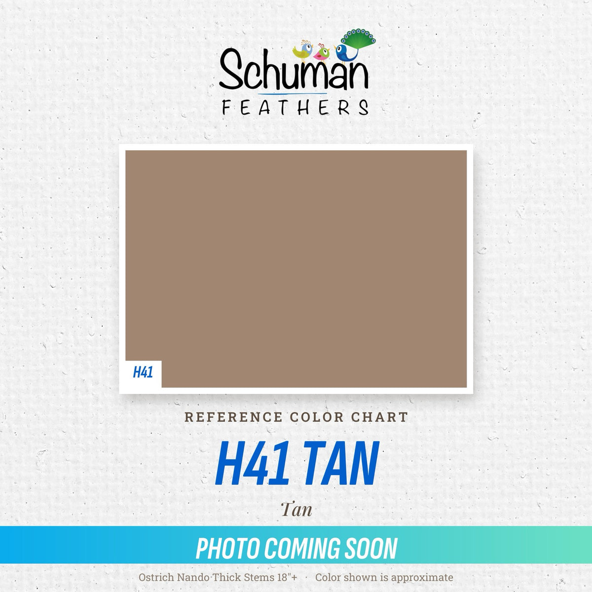 Ostrich Nando Thick Stems 18"+ H41 Tan - reference color chart, photo coming soon