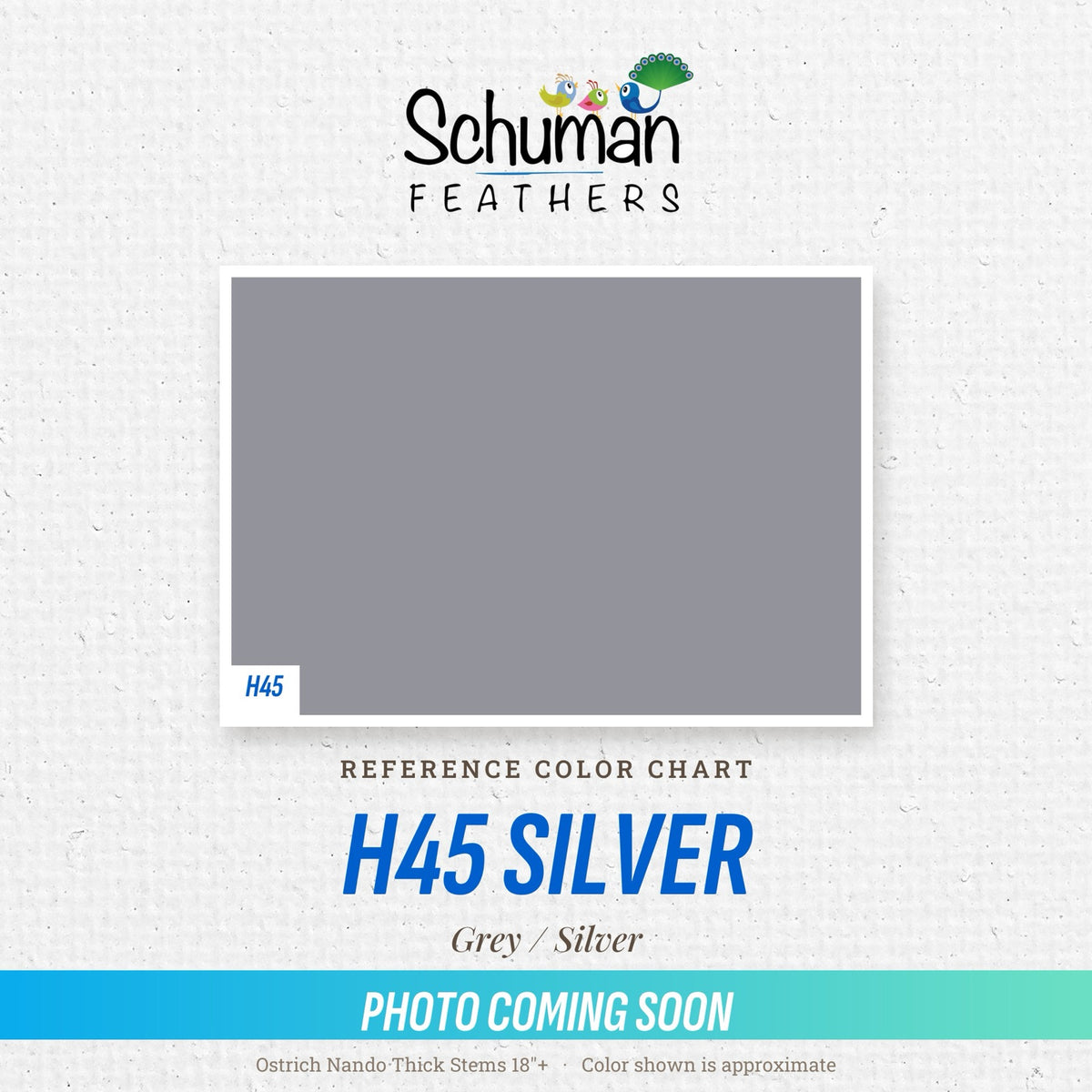 Ostrich Nando Thick Stems 18"+ H45 Silver - reference color chart, photo coming soon