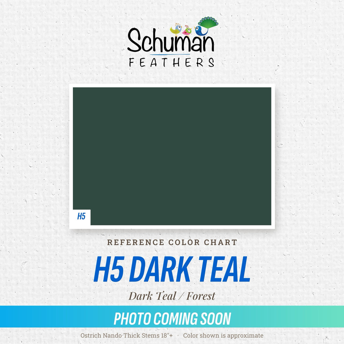 Ostrich Nando Thick Stems 18"+ H5 Dark Teal - reference color chart, photo coming soon