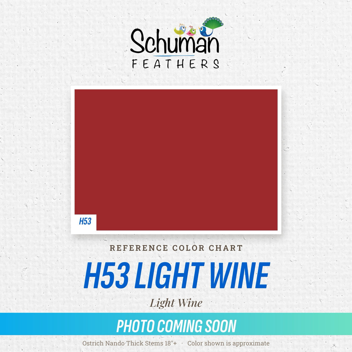 Ostrich Nando Thick Stems 18"+ H53 Light Wine - reference color chart, photo coming soon