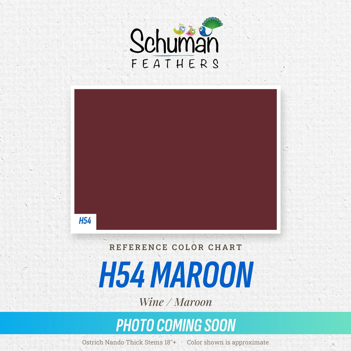 Ostrich Nando Thick Stems 18"+ H54 Maroon - reference color chart, photo coming soon