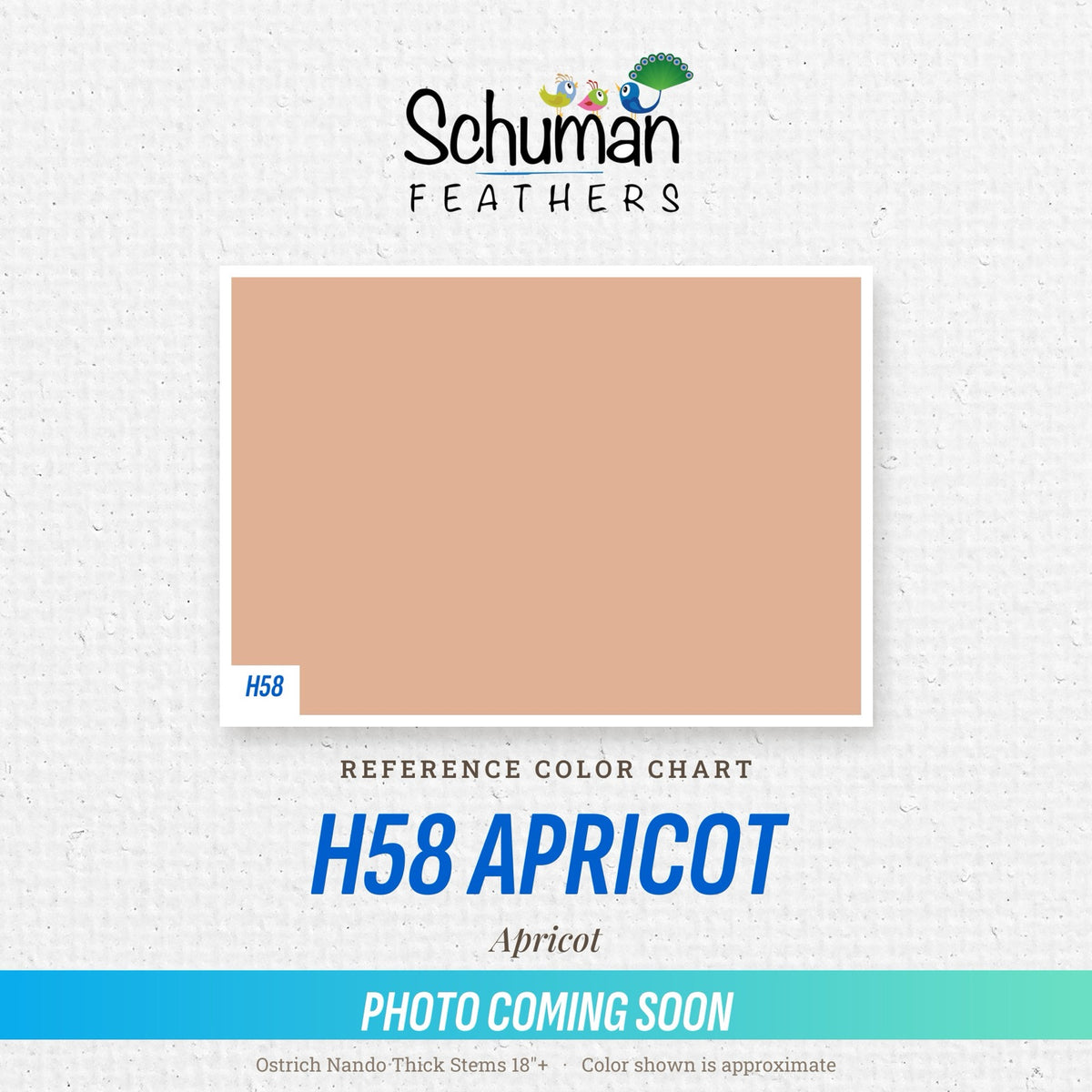 Ostrich Nando Thick Stems 18"+ H58 Apricot - reference color chart, photo coming soon
