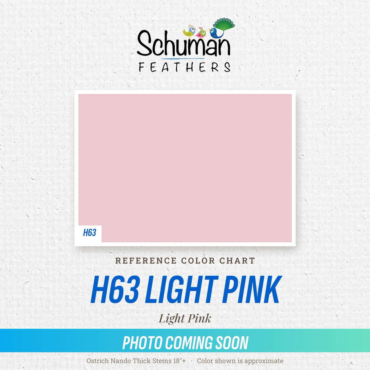 Ostrich Nando Thick Stems 18"+ H63 Light Pink - reference color chart, photo coming soon