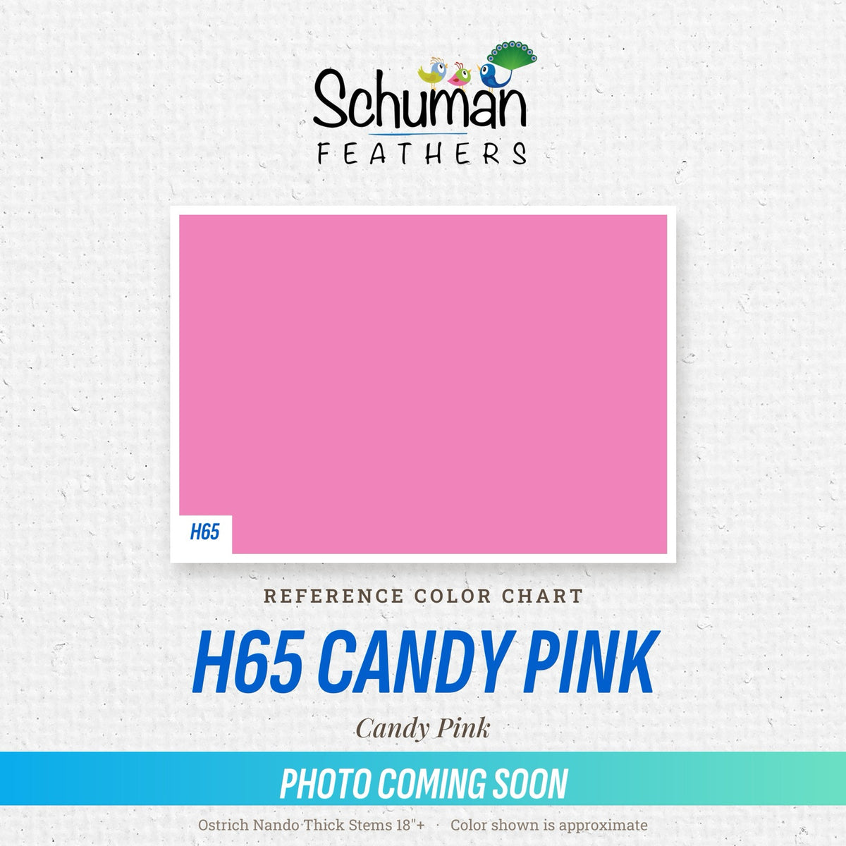 Ostrich Nando Thick Stems 18"+ H65 Candy Pink - reference color chart, photo coming soon