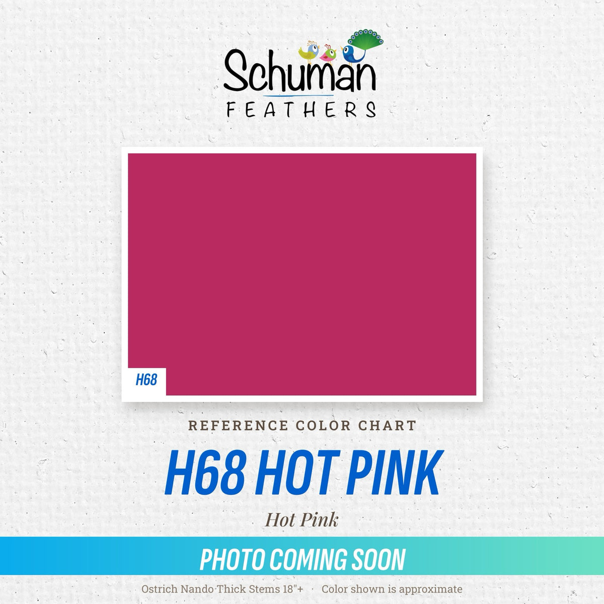 Ostrich Nando Thick Stems 18"+ H68 Hot Pink - reference color chart, photo coming soon