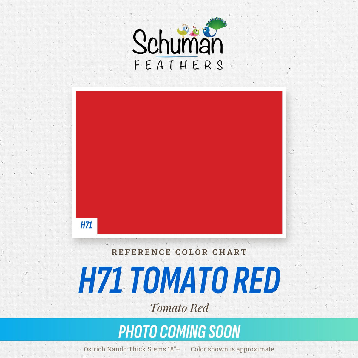 Ostrich Nando Thick Stems 18"+ H71 Tomato Red - reference color chart, photo coming soon