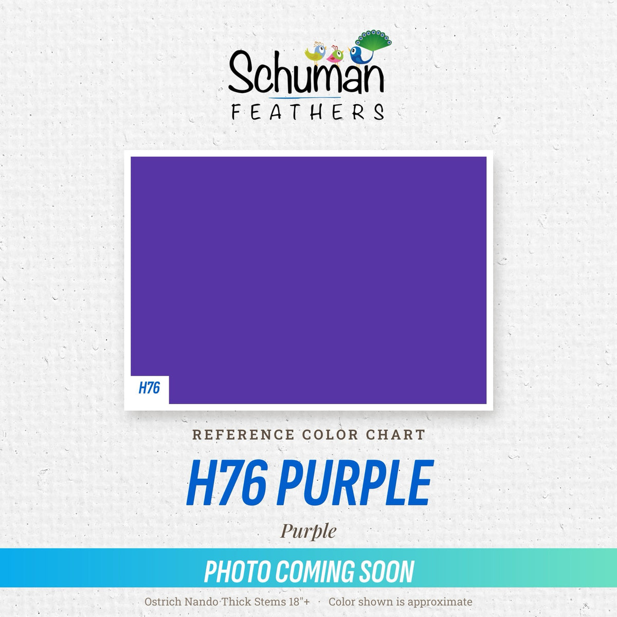 Ostrich Nando Thick Stems 18"+ H76 Purple - reference color chart, photo coming soon