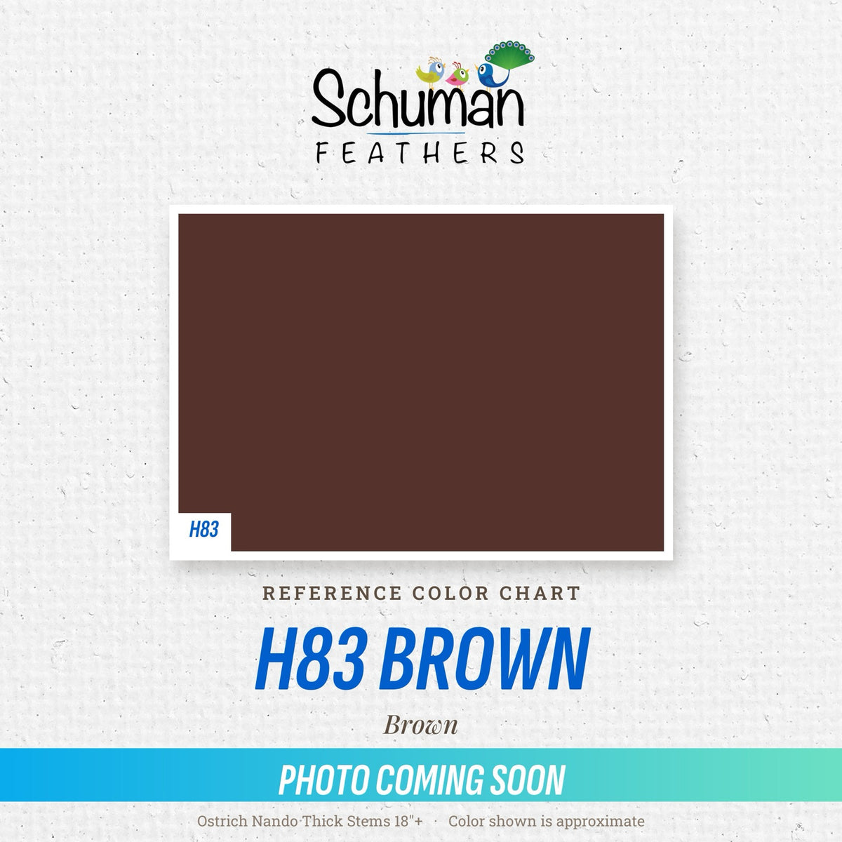 Ostrich Nando Thick Stems 18"+ H83 Brown - reference color chart, photo coming soon