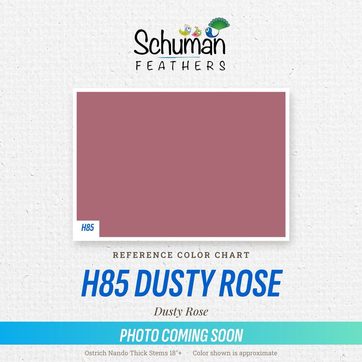 Ostrich Nando Thick Stems 18"+ H85 Dusty Rose - reference color chart, photo coming soon