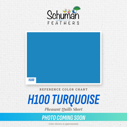 Pheasant Quills Short H100 Turquoise