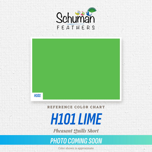 Pheasant Quills Short H101 Lime