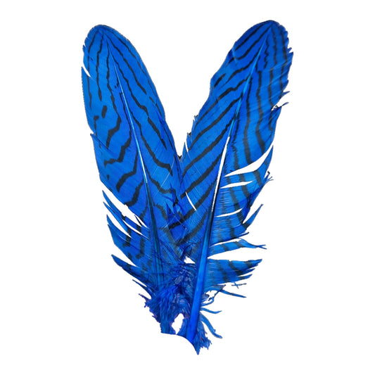 Pheasant Quills Short H17 Royal Blue