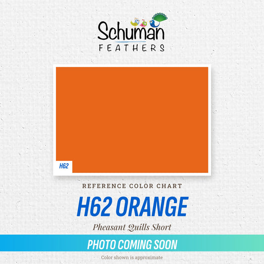 Pheasant Quills Short H62 Orange