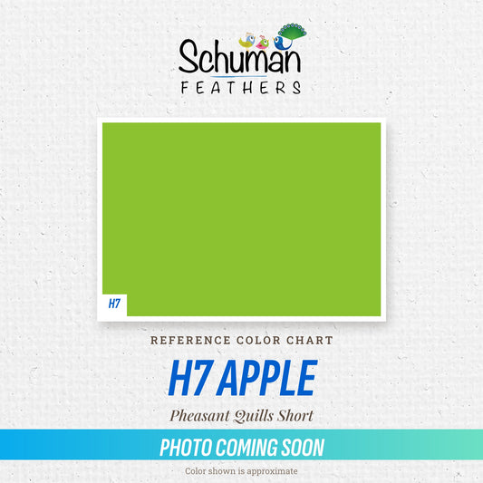 Pheasant Quills Short H7 Apple