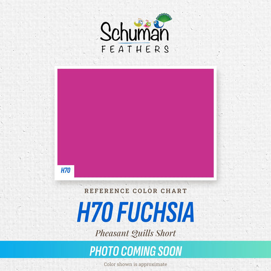 Pheasant Quills Short H70 Fuchsia
