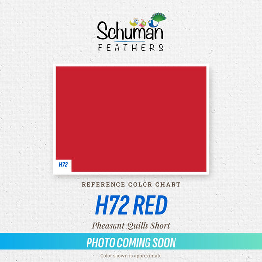 Pheasant Quills Short H72 Red
