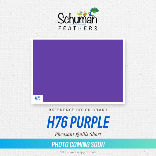 Pheasant Quills Short H76 Purple