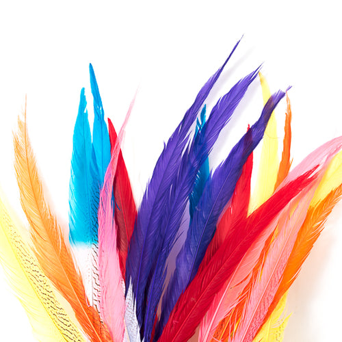 Silver Pheasant Feathers, dyed, 18-22 inches and longer by the piece