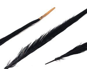 Black with Metallic Gold Tips Ringneck Pheasant Feather Bleached and Dyed 18-22", per 10 pack