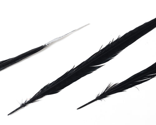 Black with Metallic Silver Tips Ringneck Pheasant Feather Bleached and Dyed 18-22