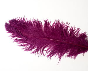 Wholesale Ostrich Feathers, drabs 12-17 inches, per 10 Feathers (CHOOSE YOUR COLOR)