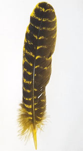 Turkey Feathers, 8-12", Dyed, per pack of 100