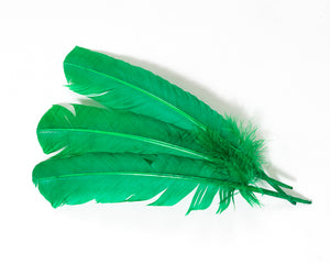 Emerald Quill Feathers by the Pound