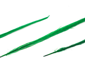 Emerald Ringneck Pheasant Feather Bleached and Dyed 18-22", per 10 pack