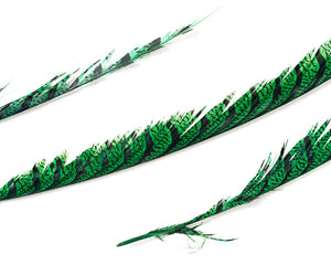 Emerald Zebra Pheasant Feathers 30 inches up, per 5 pieces