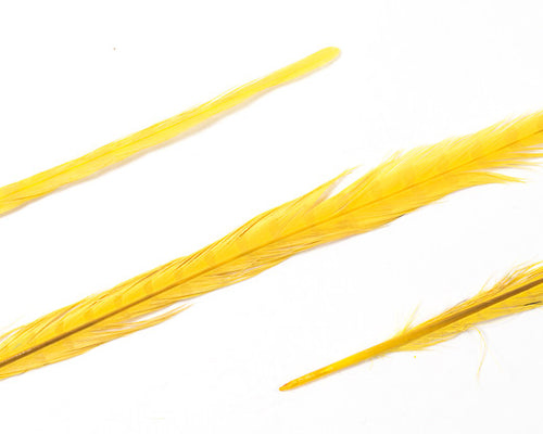 Yellow Ringneck Pheasant Feathers Bleached and Dyed 18-22