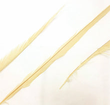 Golden Pheasant Feathers, Dyed, Long, per pack of 10 (CHOOSE YOUR COLOR)