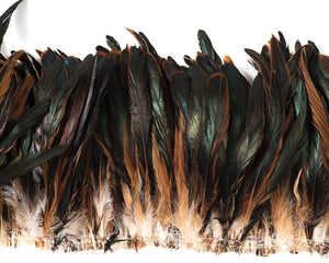 Half Bronze Cocktail Feather by the Pound 10-12 inches