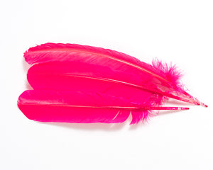Hot Pink Quill Feathers by the Pound