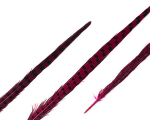 Dyed Over Natural Ringneck Pheasant Feathers 18-22" inches and up, per 10 pack (CHOOSE YOUR COLOR)
