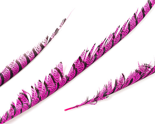 Hot Pink Pheasant Feathers 30 inches up, per 5 pieces