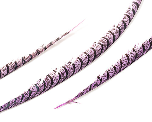 Lilac Pheasant Feathers 30 inches up, per 5 pieces