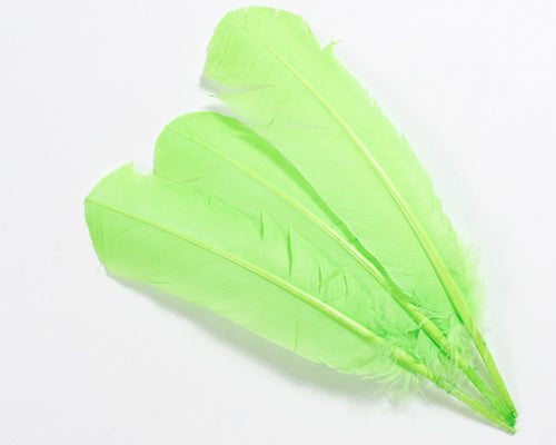 Lime Quill Feathers by the Pound