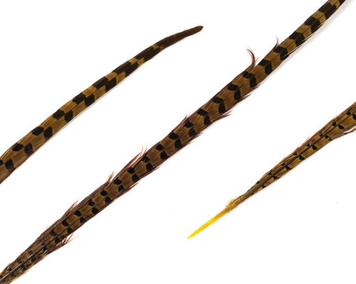 Natural Ringneck Pheasant Feathers 20-24 inches, per pack of 12