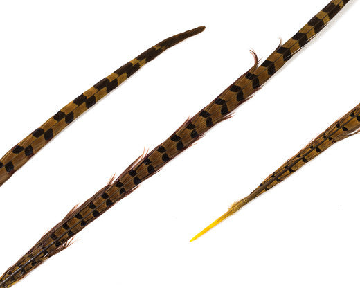 Natural Ringneck Pheasant Feathers 18-22 inches, per pack of 12