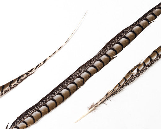 Natural Lady Amherst  Feathers 30-36 inches, per 5 pieces