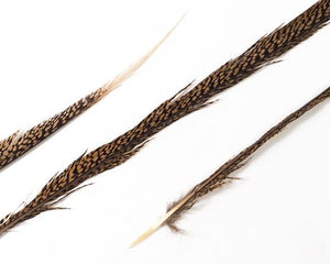 Natural Goldentail Pheasant Feathers per pack of 10 (CHOOSE YOUR SIZE)