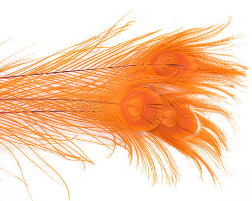Orange Bleached and Dyed Peacock Feather 25-35 inches 100 Pack