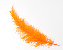 All Ostrich Spad Feathers 20 inches and up, per 10 Feathers (CHOOSE YOUR COLOR)