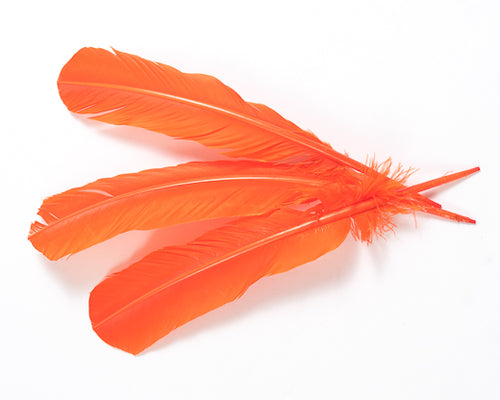 Orange Quill Feathers by the Pound