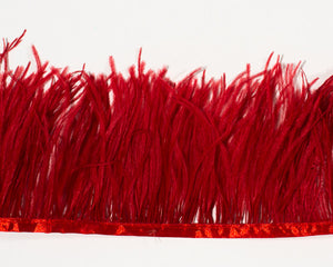 Red Ostrich Fringe Feathers by the Yard